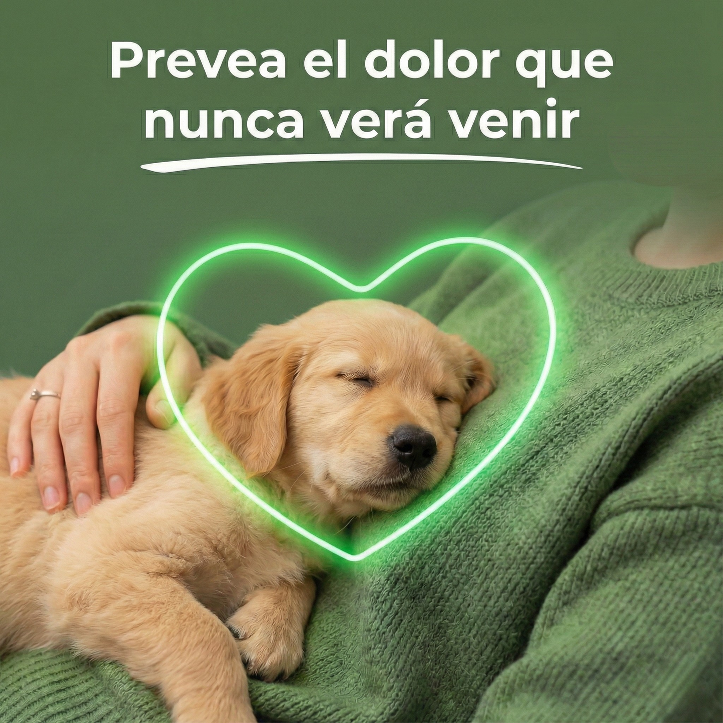 VitaTaurina+ - Nº 1 recomendado por veterinarios