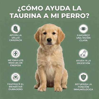 VitaTaurina+ - Nº 1 recomendado por veterinarios